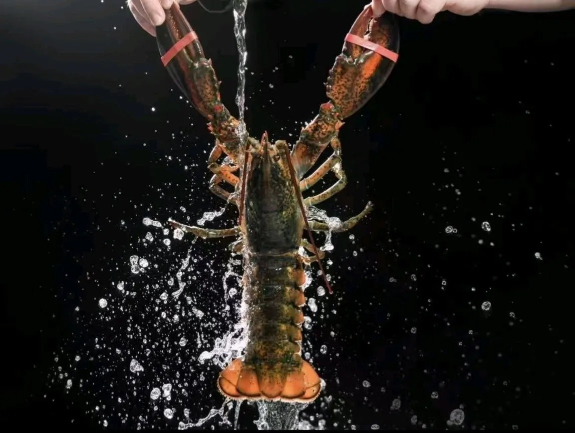 阳江海鲜